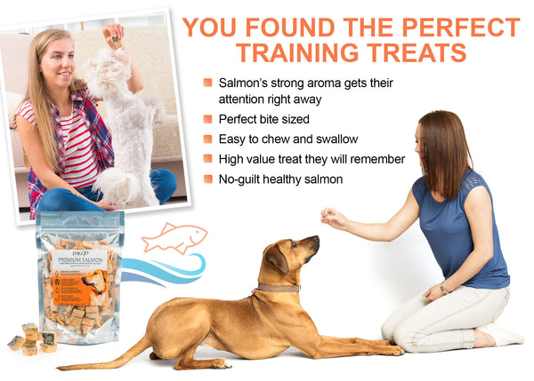 All Natural Freeze Dried Salmon Dog Treats – with Omega 3 and Omega 6 Fish Oil – by IM K9 – 100% Pure Fish with Skin – Gluten Free, Grain Free, No Soy – Made in The USA