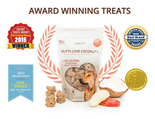 Organic Coconut Dog Training Treats Biscuits - Low Calorie Healthy Diet Treat for Puppy or Large Pets - Vegetarian, Baked & Crunchy - All Natural Fiber, No Grain, Gluten – Apple Fruit, Made in USA