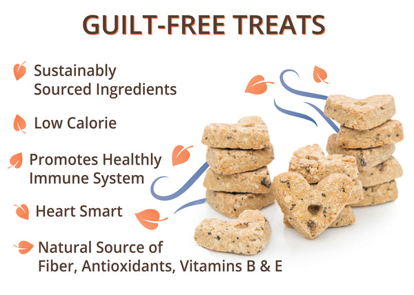 Organic Peanut Butter Dog Training Treats Biscuits Low Calorie Diet Treat for Puppy or Large Pets Vegetarian, Baked Crunchy All Natural Fiber,